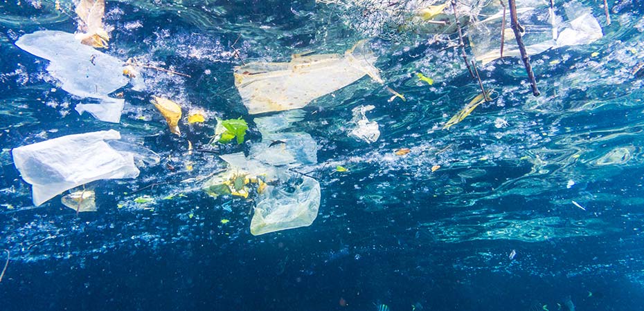 How will the UK plastic ban affect the food and drink industry?