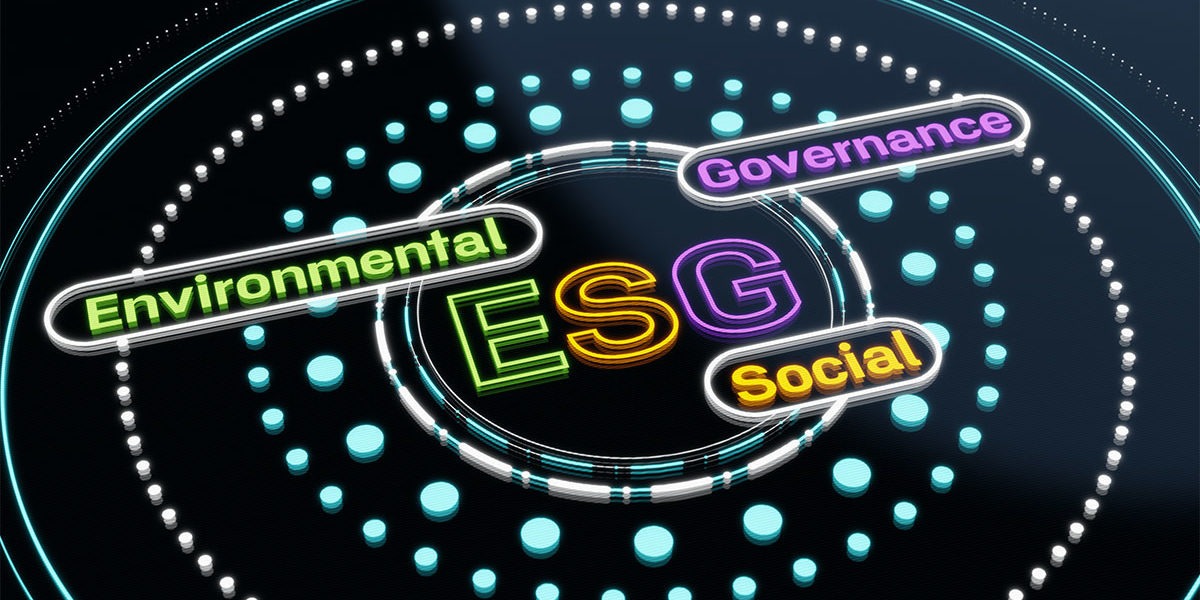 What’s next on your ESG agenda? Some views from the top…