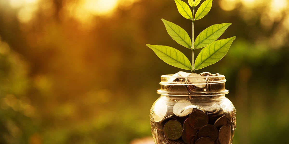 The growth of green finance for a net-zero future