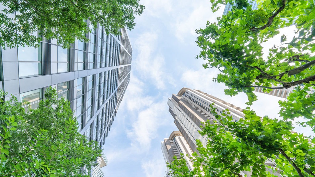 Image of tall buildings and trees