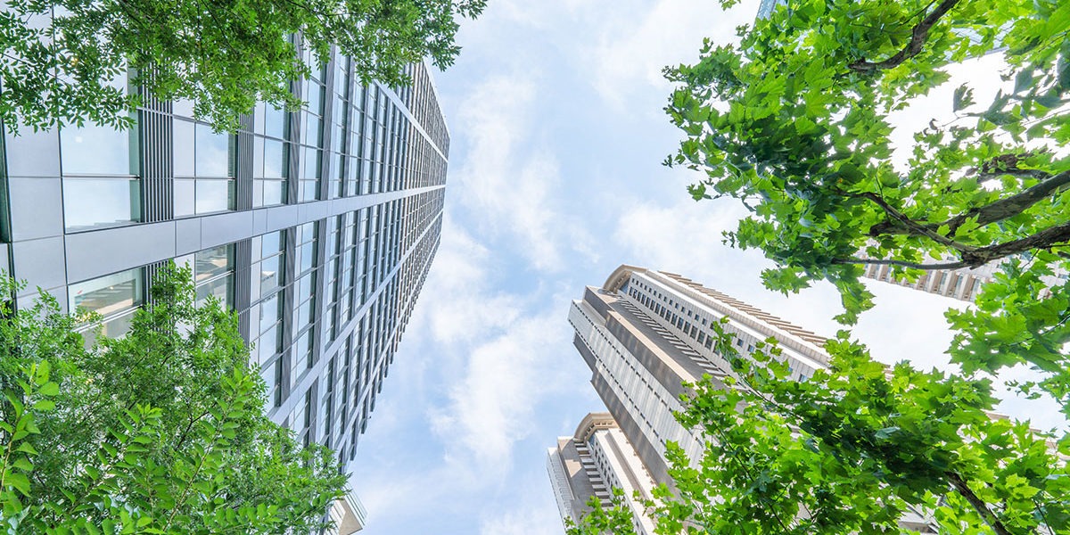Image of tall buildings and trees