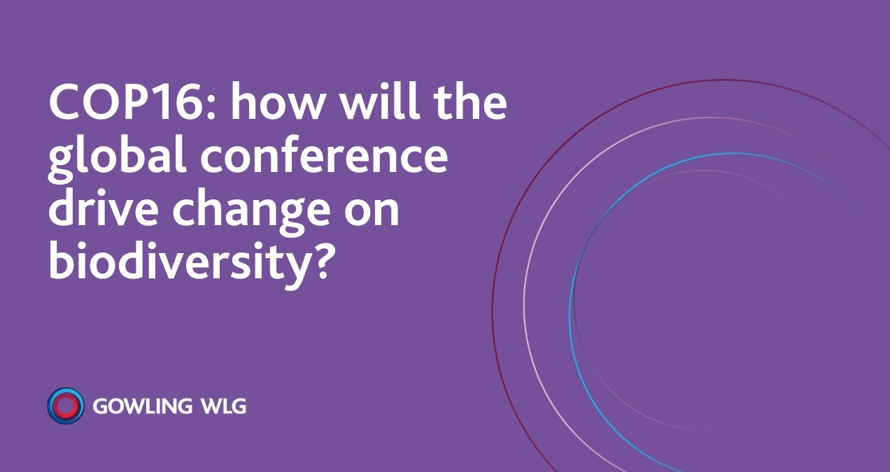 COP16: how will the global conference drive change on biodiversity ...